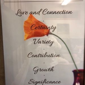 Meet your Posher, Nikki